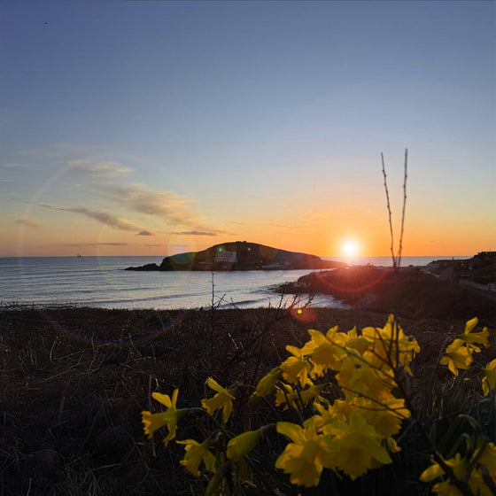 Spring into some Holiday Surf Courses!